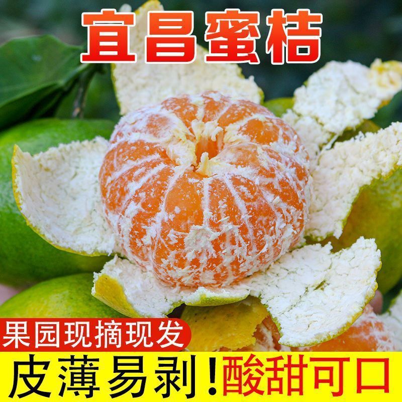 Hubei Honey Oranges 4.5kg Early-ripening seedless fresh oranges, suitable for pregnant women, whole box with free shipping, seasonal green-skinned citrus Hubei Honey Oranges 4.5kg Early-ripening seedless fresh oranges, suitable for pregnant women, whole box with free shipping, seasonal green-skinned citrus