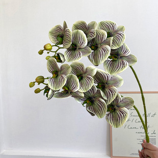 ��Ʒ�|�����m3D��ӡ���滨�ָмٻ� ��c�zӰ�ҾӺ����m�b���