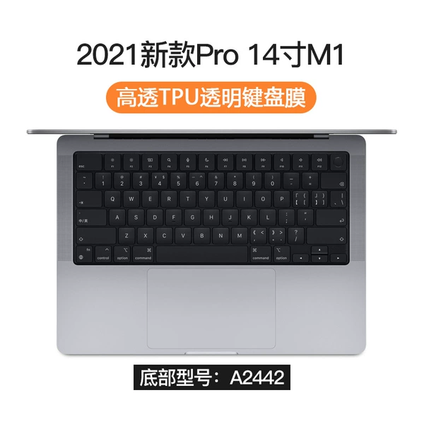 21 models 14.2pro A2442