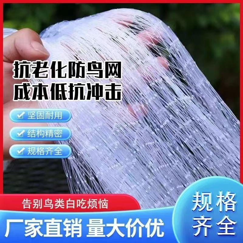 果园防鸟网果树樱桃葡萄防鸟用的网鱼塘天网大棚防护尼龙网养殖网