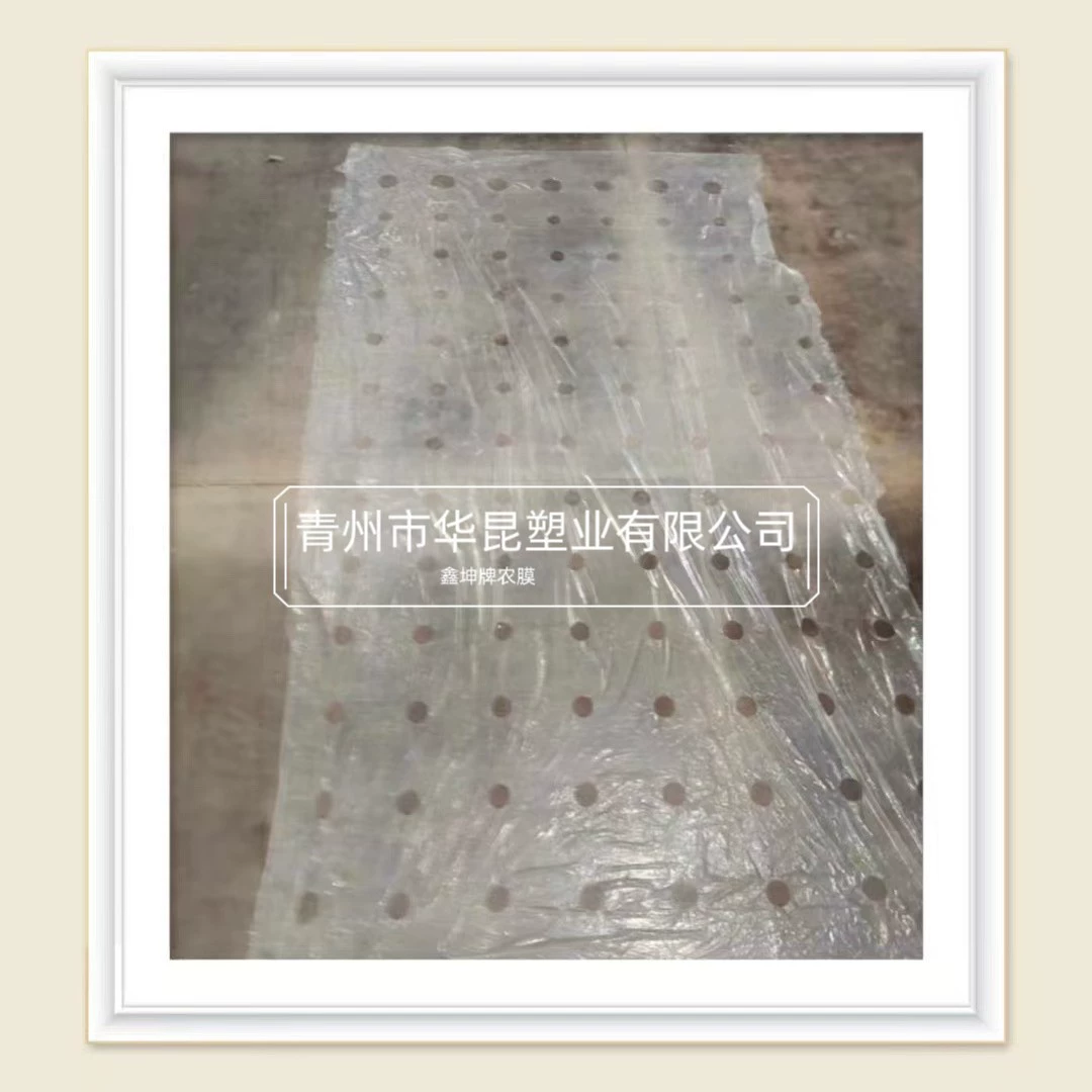 Белая перфорированная сельскохозяйственная мульчирующая пленка, многофункциональная пластиковая пленка, защищающая от сорняков, производитель мульчирующей пленки для посадки, белая перфорированная