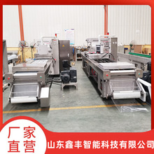 供应三角粽子拉伸膜真空包装机 香脆肠拉伸膜真空包装封口机诸城