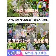 水果套袋果实网袋番茄葡萄无花果莓防虫防鸟保护袋莓透气网套