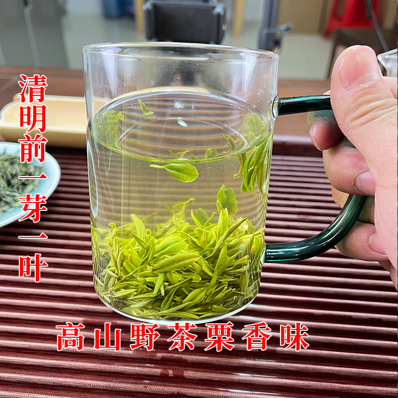 批发茶叶信阳毛尖2024新茶清明前头采一芽一叶高山野茶春绿茶500g