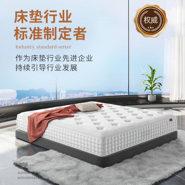 Hilton Five-Star Hotel Latex Mattress Super Soft Simmons Independent Spring 30cm Thickeneded Cushion 2m