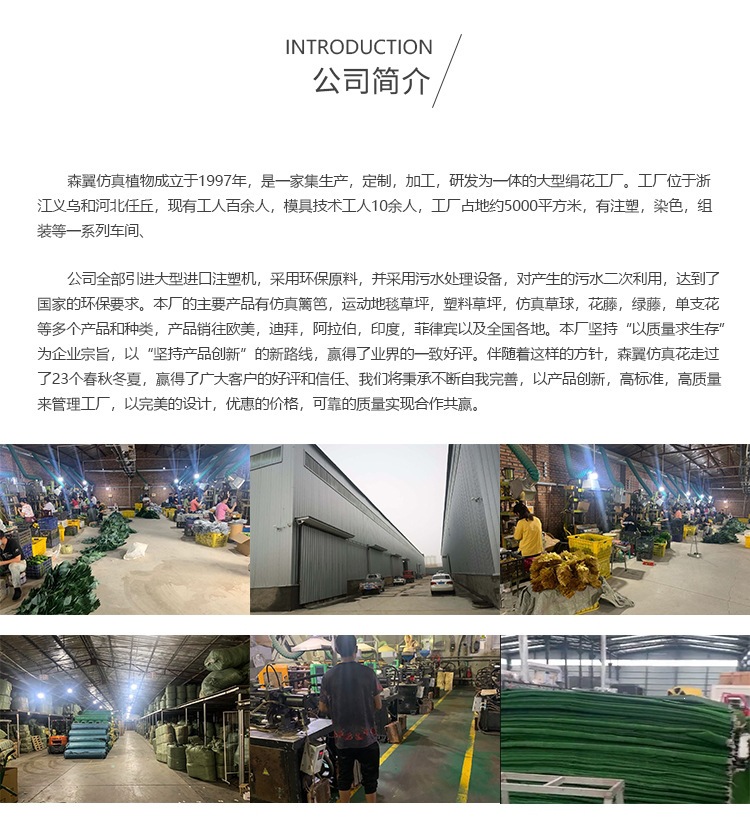 公司简介