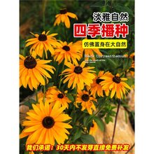 ľջѽջNļNͥԺ̨ͺN