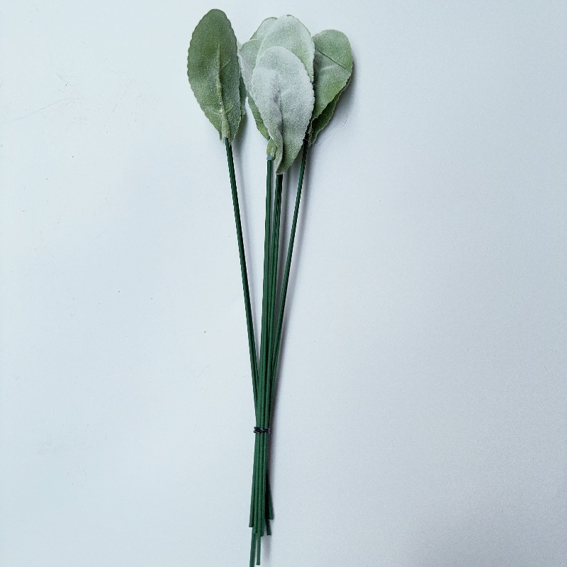 단일 양 귀 잎