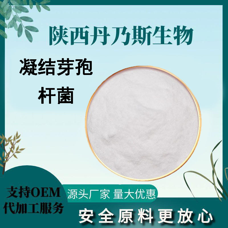 凝结魏茨曼氏菌 凝结芽孢杆菌 100亿cfu/g食品级益生菌冻干粉现货