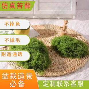 ����z��̦�\��ƺ��ˮ���첻�׵�ɫ������ë�\�쾰�؂����̦�\