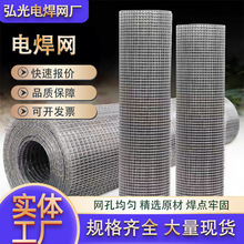 熱鍍鋅電焊鐵絲網養殖護欄網防裂抹牆用電焊網工地內外牆面抹灰網
