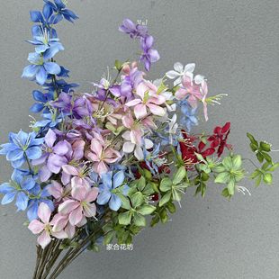  ֦ĻcҾb廨{߽ٻLmĻ