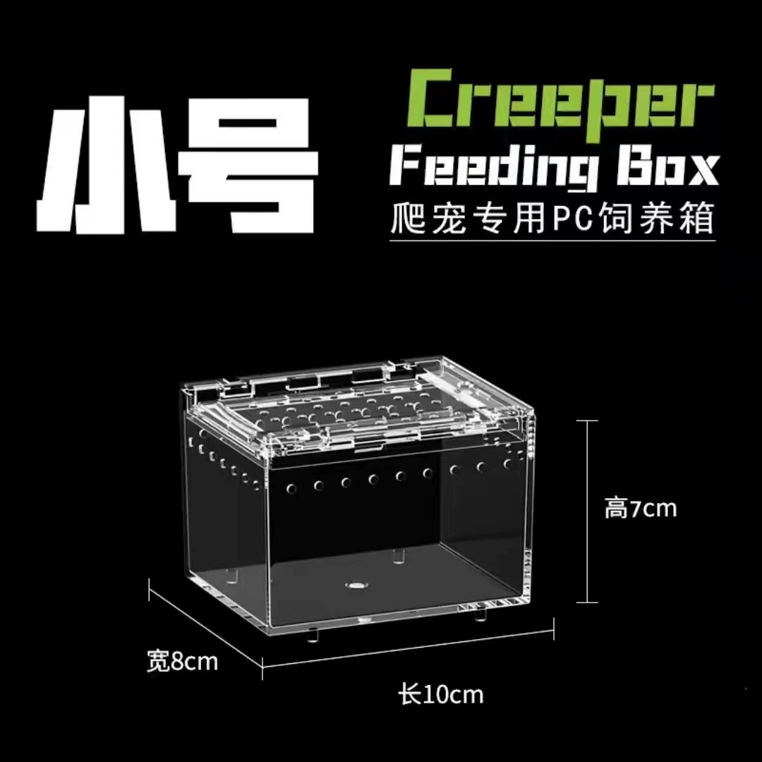 ПК пластиковый лазай дворцовая ящерица маленький ящик для кормления экологический пейзаж пустыни домашние змеи древесные роговые лягушки водные резервуары