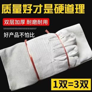 ���������p��24���Ӻ���ĥ͸��늺����Cе���ڱ����o���׏S�����l