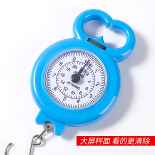 弹簧秤迷你称重电子手提便携式10kg高精度家用挂钩买菜称小秤小型-阿里巴巴