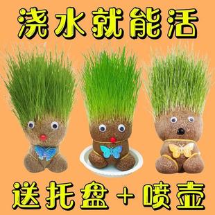 Long Grass Head Doll Flowering Doll Mini Children's Plant Potted Indoor Balcony Tiktok Same Style Ecological Bottle