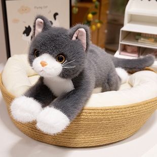 �羳؈����ż����С؈ë�q�����؈����Ů��˯�X�������޹��նY��