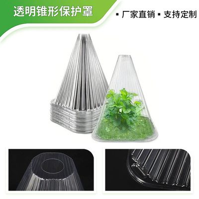 PET遮阳植物锥形罩幼苗防风罩秧苗保温罩田园植物幼苗育苗保护罩|ms