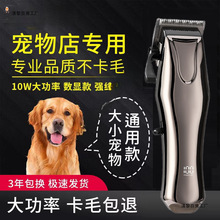 ���I������ë��������Ƽ���ë����Ȯ��������ӌ������؈��