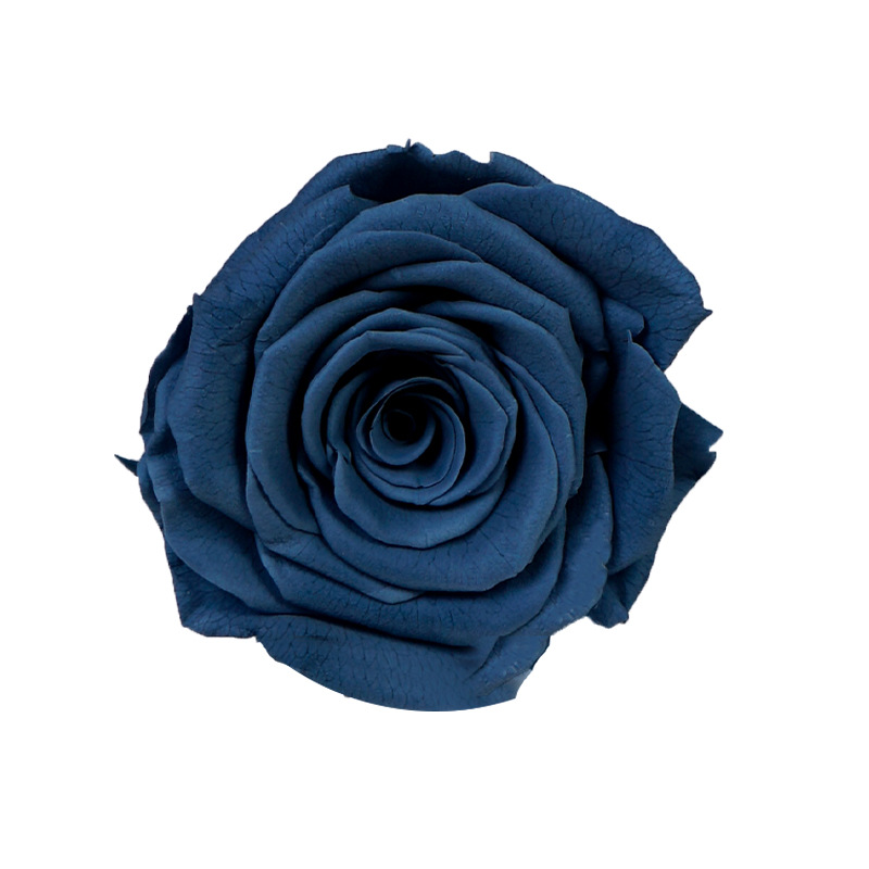 4-5cm 8 Flores, grado B DIY flores eternas, rosas eternas, Yunnan Kunming al por mayor, flores preservadas