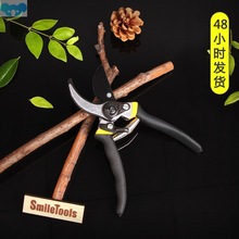 High-quality Garden Pruner Stainless Steel Scissor-Sav跨境专