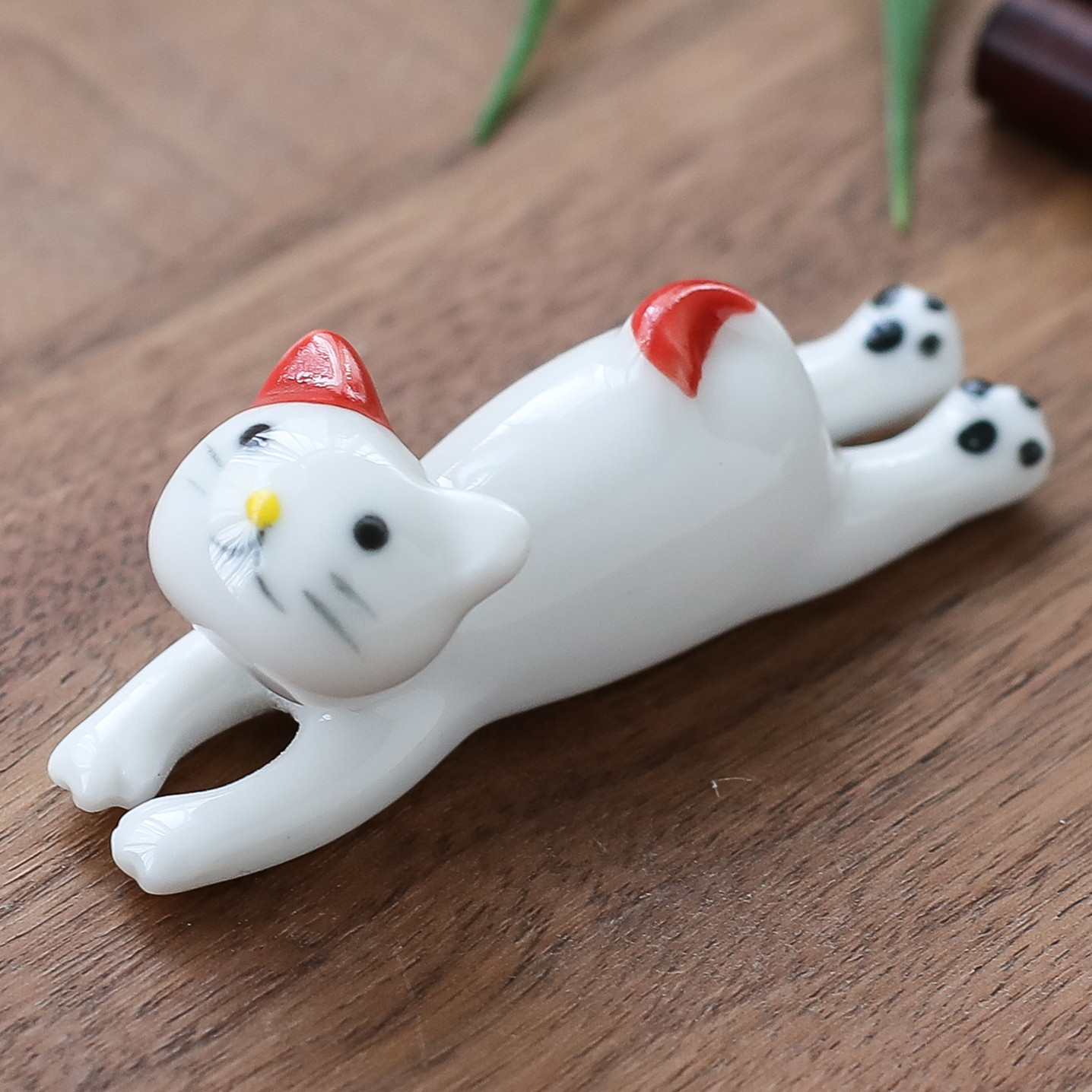거짓말 고양이