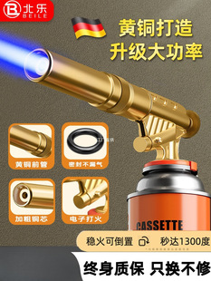Flame Torch Gun for Burning Pig Hair, Household Handheld Flame Gun with Cassette Gas Tank, Portable Flame Welding Gun, Lighter