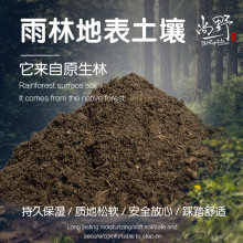 雨林地表保湿土壤   垫材爬虫陆龟蜥蜴  森林地表  天然吸味降解