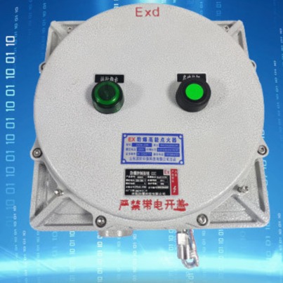 防爆高能点火器燃气燃油点火器火炬点火器