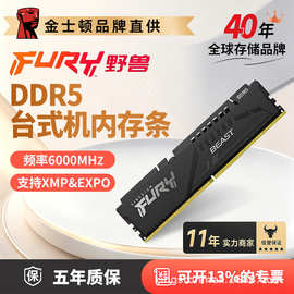 金士顿神条DDR5 6000/6400台式机五代内存条野兽系列现货海力士
