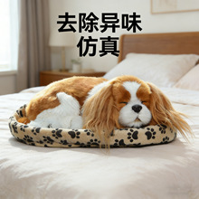 跨境热销仿真狗竹炭包摆件车载活性炭家居去除异味甲醛可爱摆件