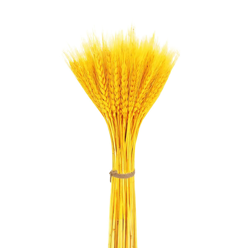 Cesta de flores de cebada abierta en el centro comercial, alegría de la vivienda, ramo de espigas de oro, decoración, props de disparo, flores secas, trigo