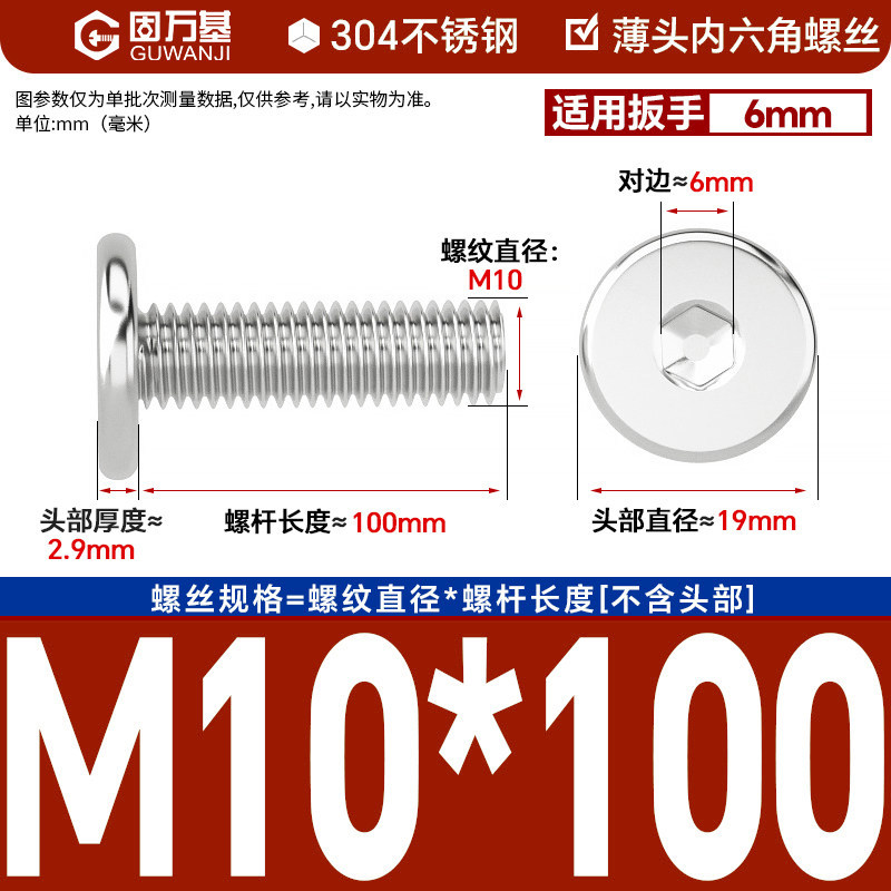 304 M10*100