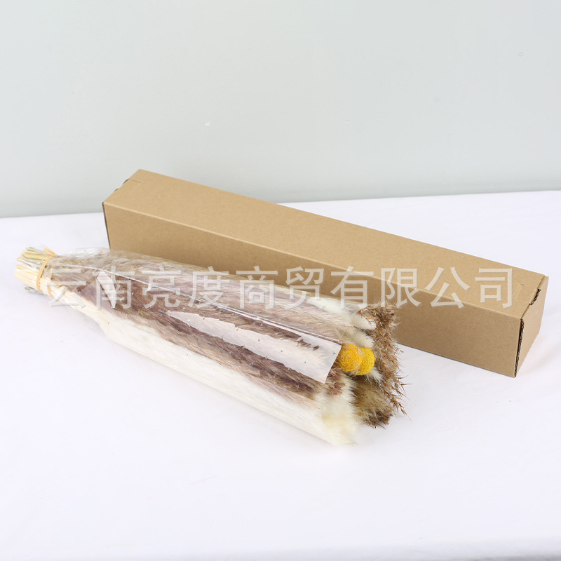 Pampas naturales ramo de flores secas cola de conejo hierba pequeña Reed polvo Reed madera estilo bohemio decoración del hogar