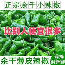 特辣余干小辣椒新鲜薄皮椒农家土辣椒超辣青椒整箱跨境货源厂批发