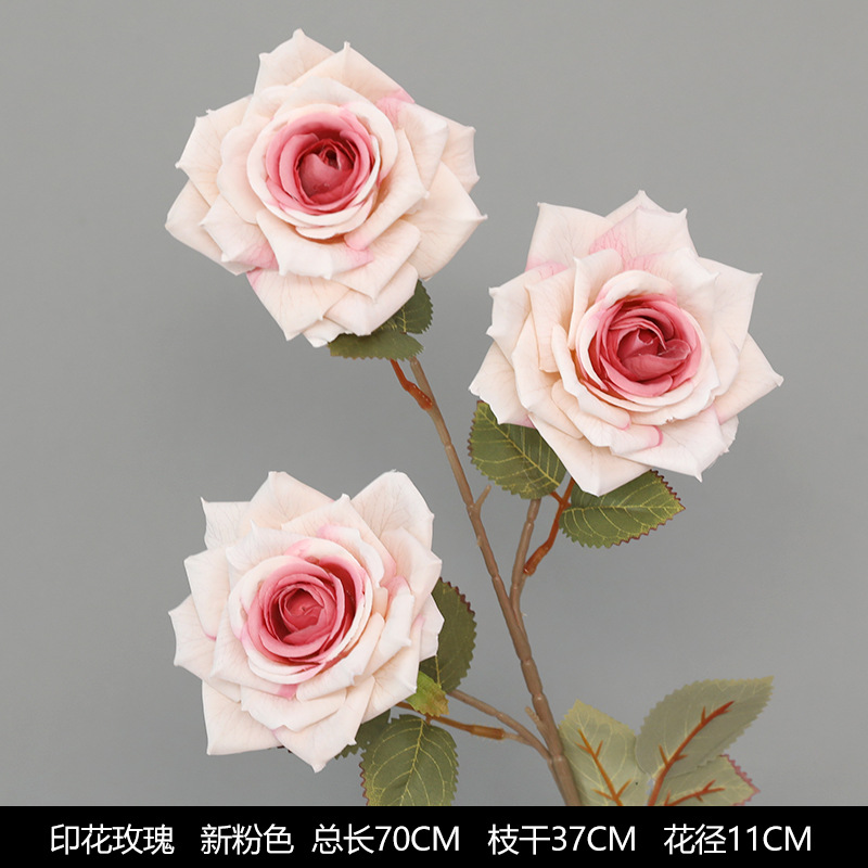 New Printed Rose Powder