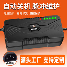 神充侠适用于爱玛电动车小公插电池充电器48V60V20AH12Ah32A批发