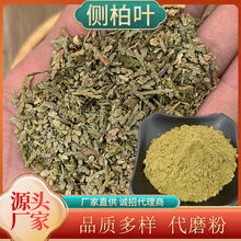 侧柏叶药材可洗头水养发粉自然阴干侧柏叶打粉120目超细粉侧柏叶