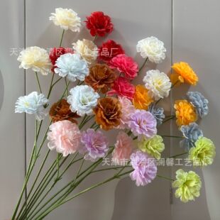 3�^ľ�Ȼ���c���滨��Y��·�����Ų廨�ҾӾƵ겼���ٻ����l