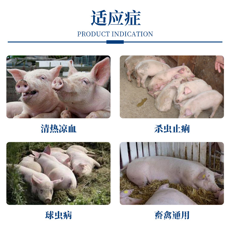 详情_02.jpg