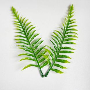 ֲˮ 20cmާ~P 辰԰ˇbl