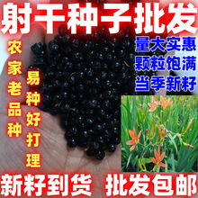 ���ѵ�؛�������ɻ��N��Փ����ɷN����ɷN���ļ��ɷN��������