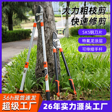 鲁威工具高枝剪园林果树修枝剪园艺粗枝剪园林绿化工具伸缩果枝剪