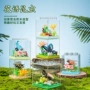 植物减压海底盆栽积木