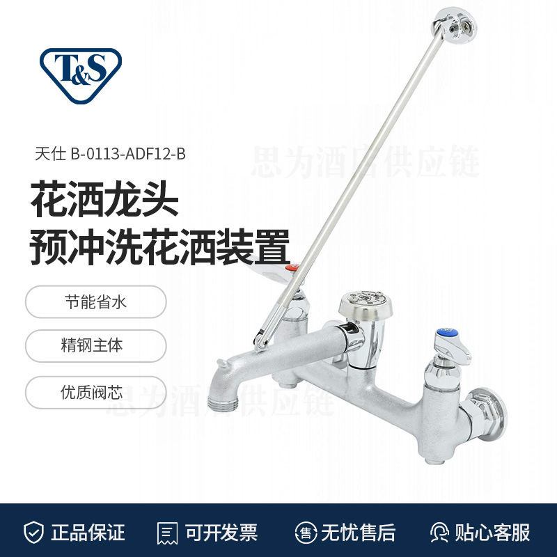 American Tianshi T&S Mop Pool Faucet B-0665-Bstr