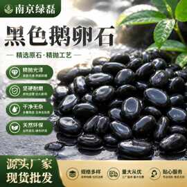 黑色鹅卵石抛光打磨庭院造景铺路雨花石鱼缸水池铺面天然鹅卵石