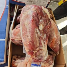 ����JBS1662�S ���ţǰ��  ţ���� 1����