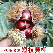 ë������������������A�����F����������Ե��Ԯ���Y������