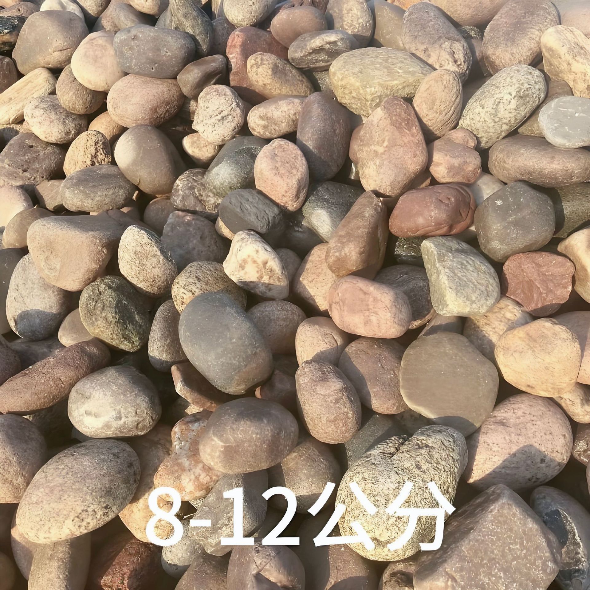 8-12cm