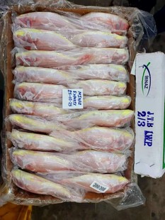 ���~�t���~��z�~�������ӡ��t�������tɼ�~9����һ��